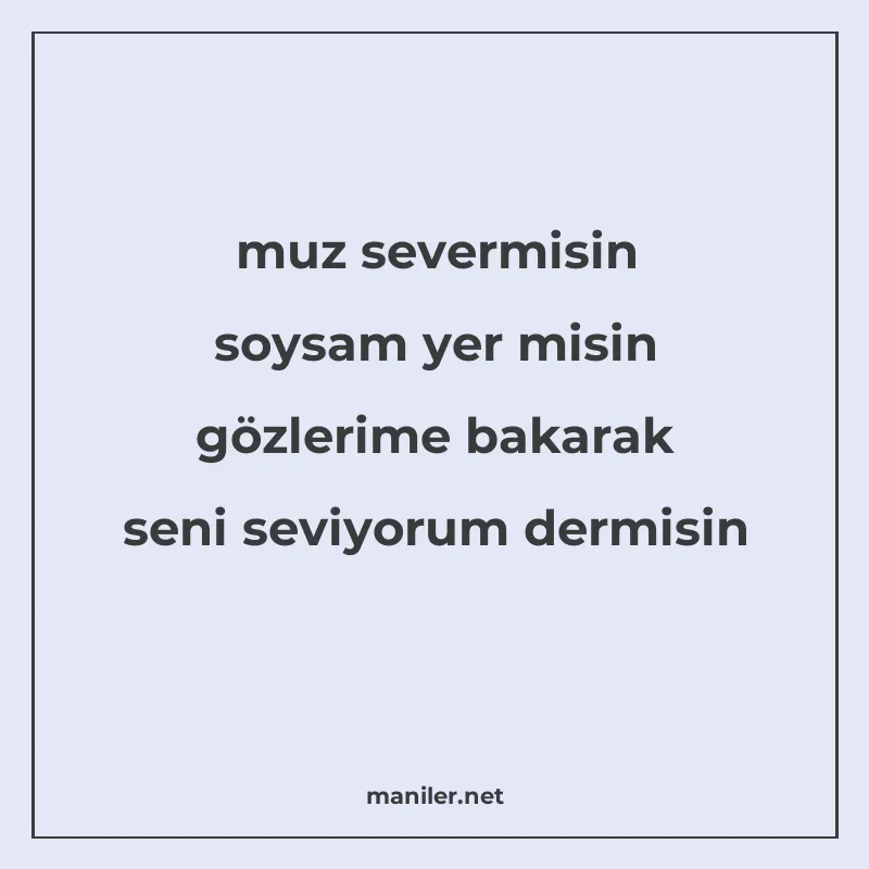 muz severmisin soysam yer misin gözlerime bakarak seni seviy manisi görseli