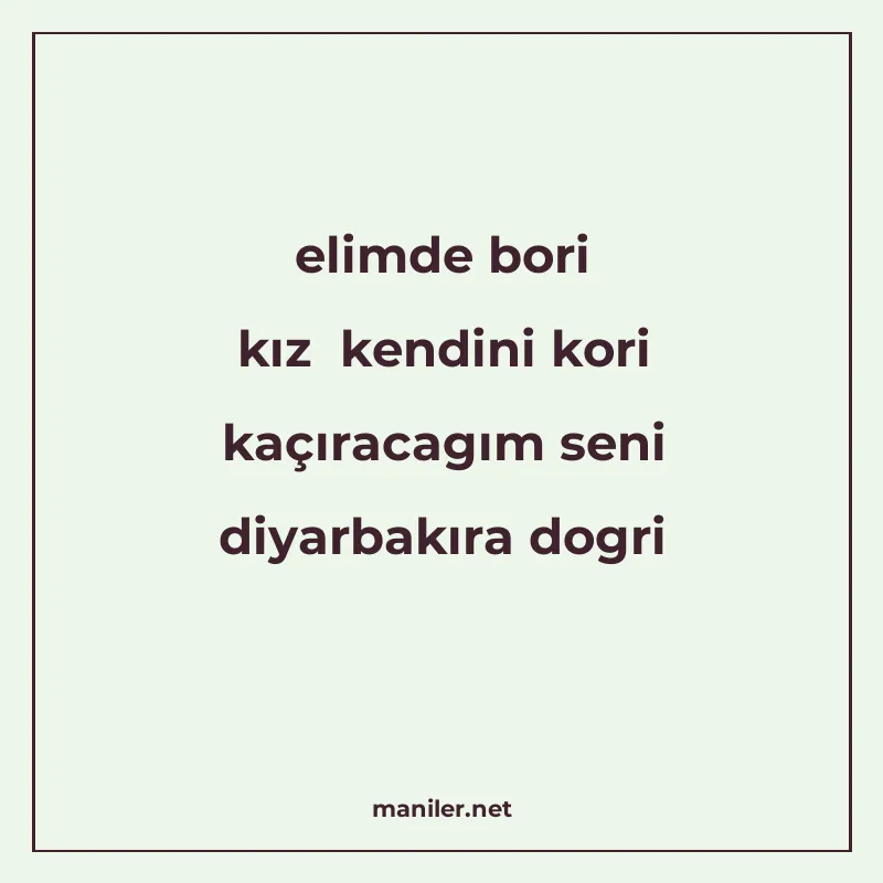 elimde bori kız kendini kori kaçıracagım seni diyarbakıra do manisi görseli