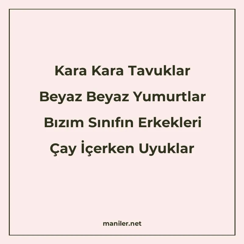 Kara Kara Tavuklar Beyaz Beyaz Yumurtlar Bızım Sınıfın Erkek manisi görseli