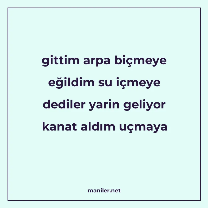 gittim arpa biçmeye eğildim su içmeye dediler yarin geliyor manisi görseli