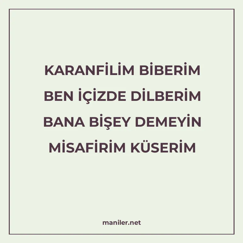 KARANFİLİM BİBERİM BEN İÇİZDE DİLBERİM BANA BİŞEY DEMEYİN Mİ manisi görseli