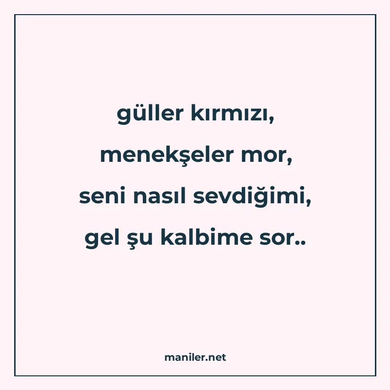 güller kırmızı, menekşeler mor, seni nasıl sevdiğimi, gel şu manisi görseli