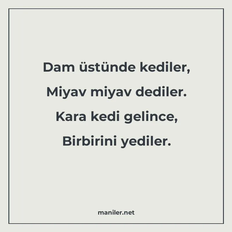 Dam üstünde kediler, Miyav miyav dediler. Kara kedi gelince manisi görseli