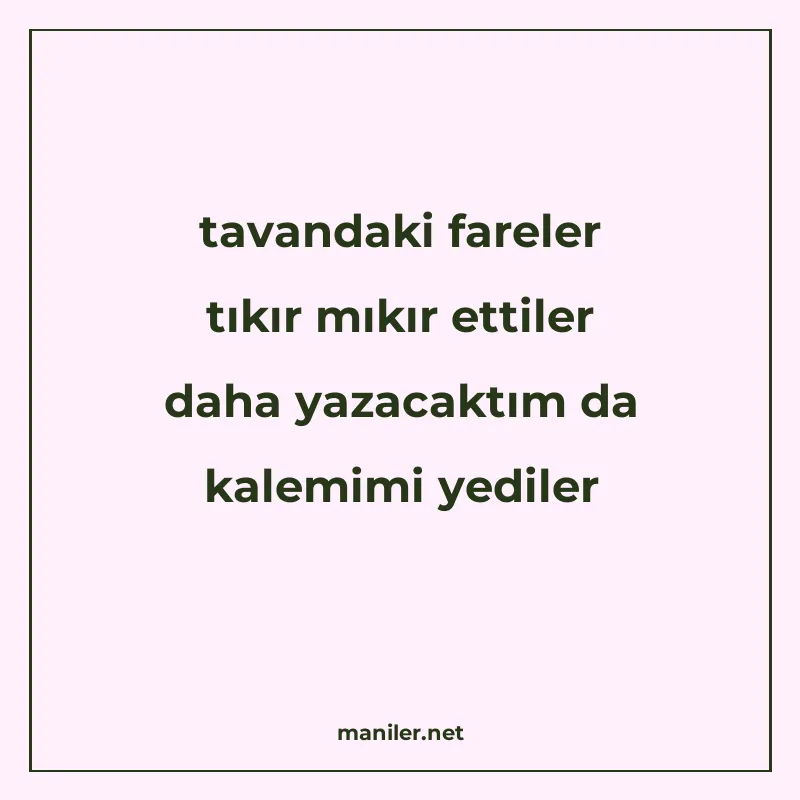 tavandaki fareler tıkır mıkır ettiler daha yazacaktım da kal manisi görseli
