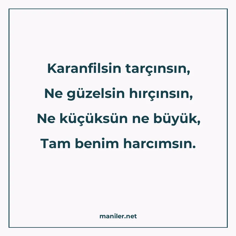 Karanfilsin tarçınsın, Ne güzelsin hırçınsın, Ne küçüksün ne manisi görseli