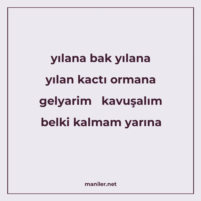 yılana bak yılana yılan kactı ormana gelyarim kavuşalım belk manisi görseli