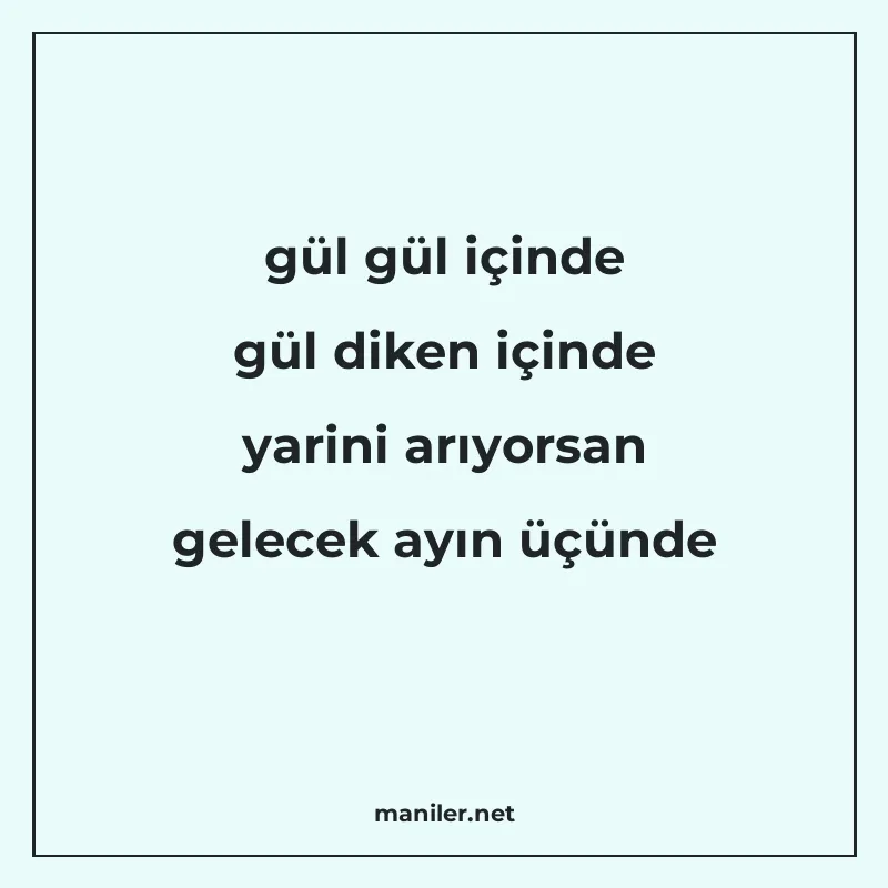 gül gül içinde gül diken içinde yarini arıyorsan gelecek ayı manisi görseli
