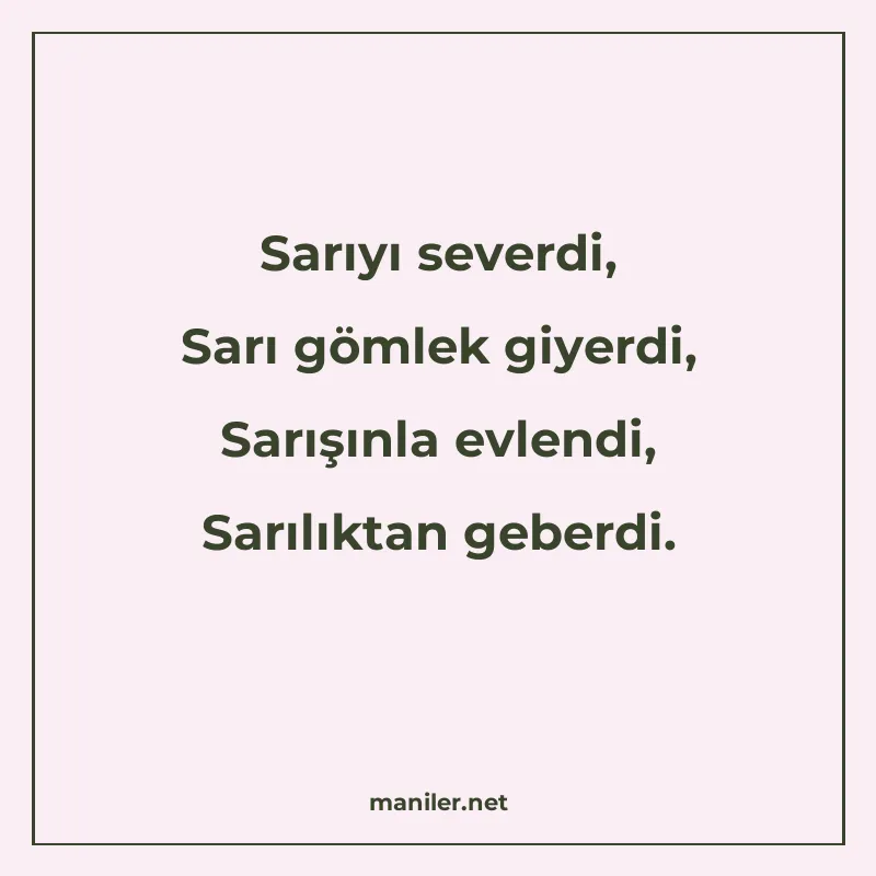 Sarıyı severdi, Sarı gömlek giyerdi, Sarışınla evlendi, Sarı manisi görseli