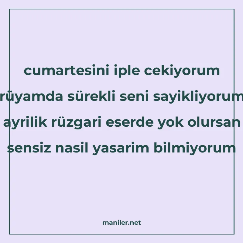 cumartesini iple cekiyorum rüyamda sürekli seni sayikliyorum manisi görseli
