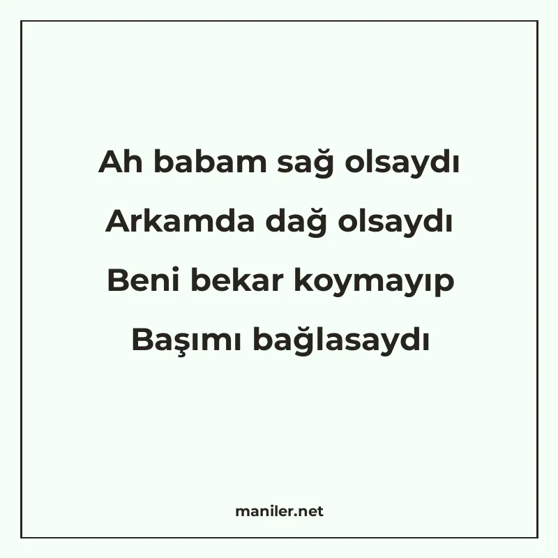 Ah babam sağ olsaydı Arkamda dağ olsaydı Beni bekar koymayıp manisi görseli