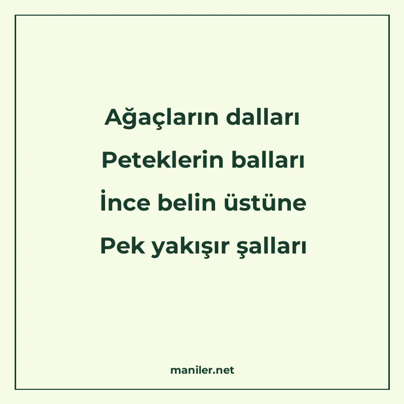 Ağaçların dalları Peteklerin balları İnce belin üstüne Pek y manisi görseli