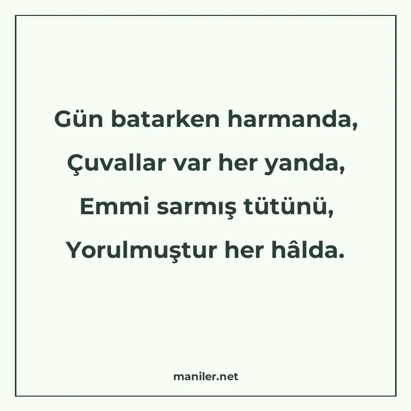 Gün batarken harmanda, Çuvallar var her yanda, Emmi sarmış t manisi görseli