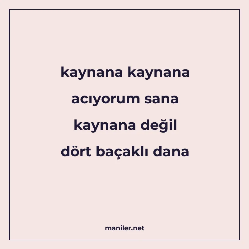 kaynana kaynana acıyorum sana kaynana değil dört baçaklı dan