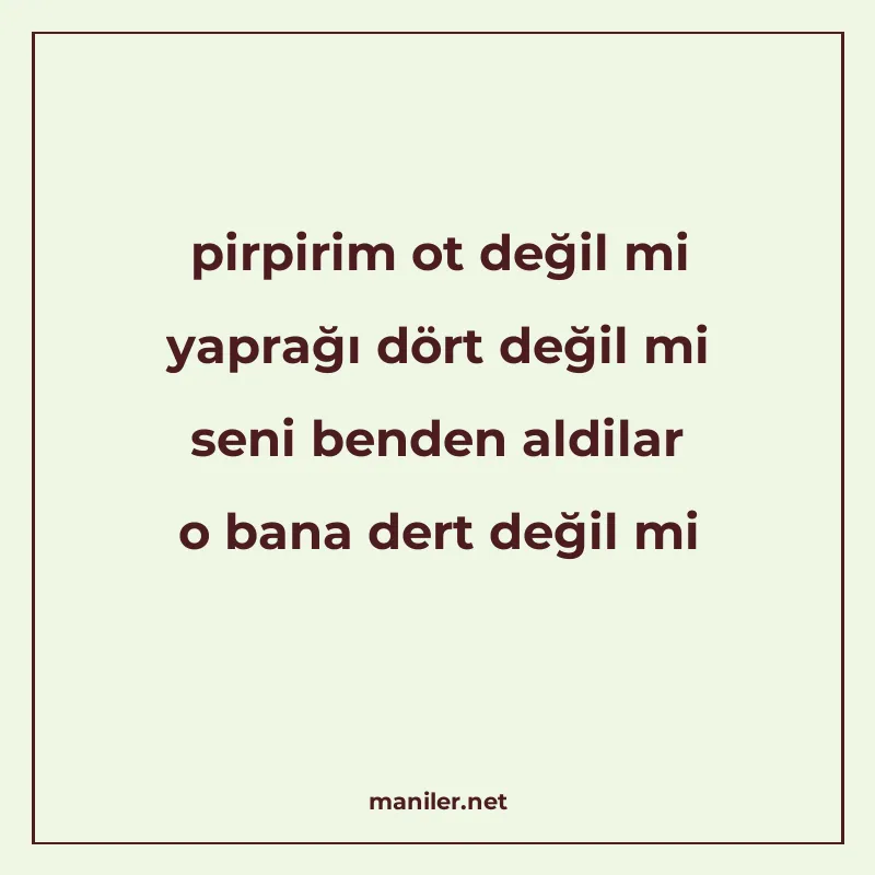 pirpirim ot değil mi yaprağı dört değil mi seni benden aldil manisi görseli