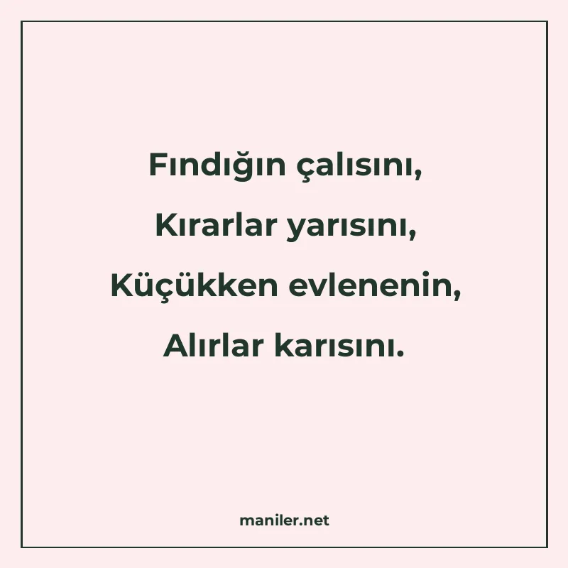 Fındığın çalısını, Kırarlar yarısını, Küçükken evlenenin, Al manisi görseli