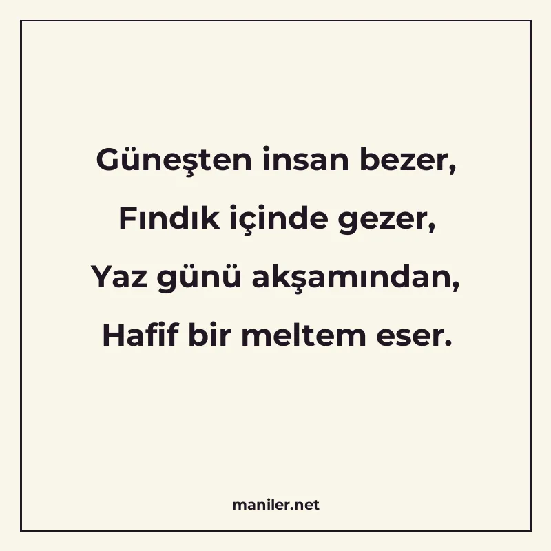 Güneşten insan bezer, Fındık içinde gezer, Yaz günü akşamınd manisi görseli