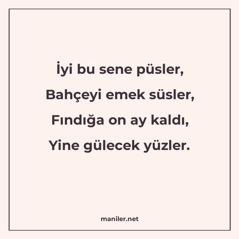 İyi bu sene püsler, Bahçeyi emek süsler, Fındığa on ay kaldı manisi görseli