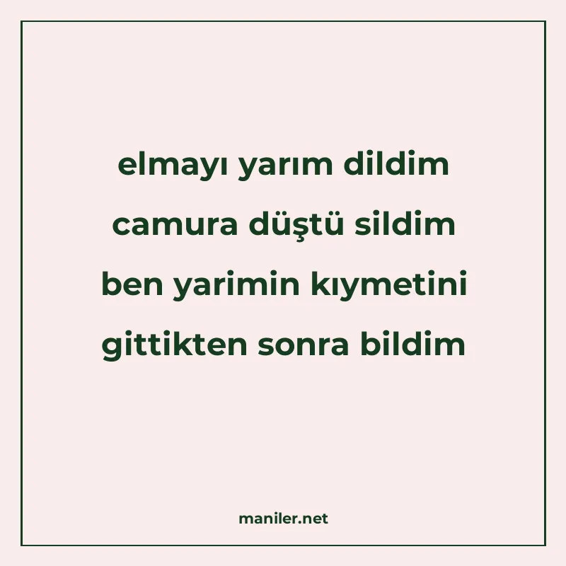 elmayı yarım dildim camura düştü sildim ben yarimin kıymetin manisi görseli