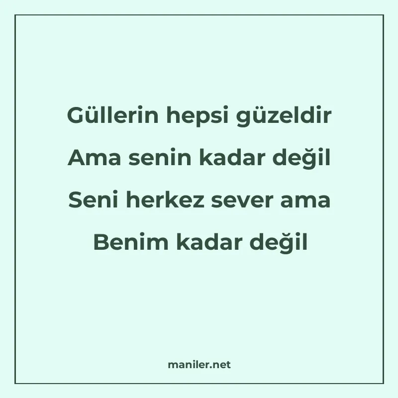 Güllerin hepsi güzeldir Ama senin kadar değil Seni herkez se manisi görseli