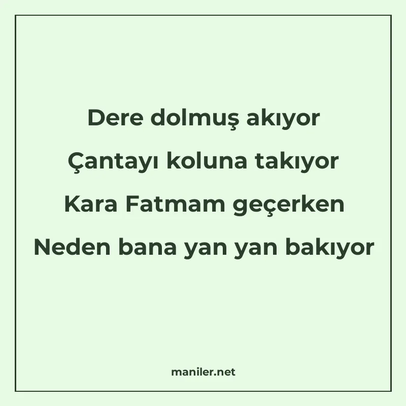 Dere dolmuş akıyor Çantayı koluna takıyor Kara Fatmam geçerk manisi görseli