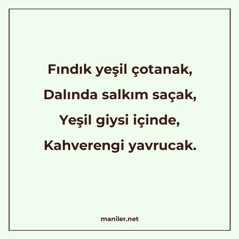 Fındık yeşil çotanak, Dalında salkım saçak, Yeşil giysi için manisi görseli