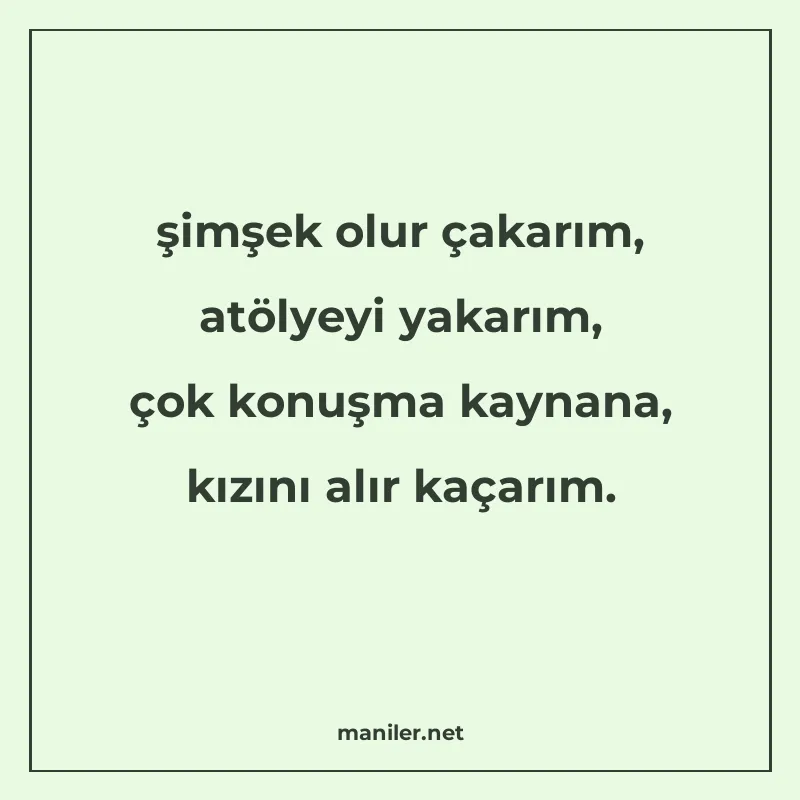 şimşek olur çakarım, atölyeyi yakarım, çok konuşma kaynana manisi görseli