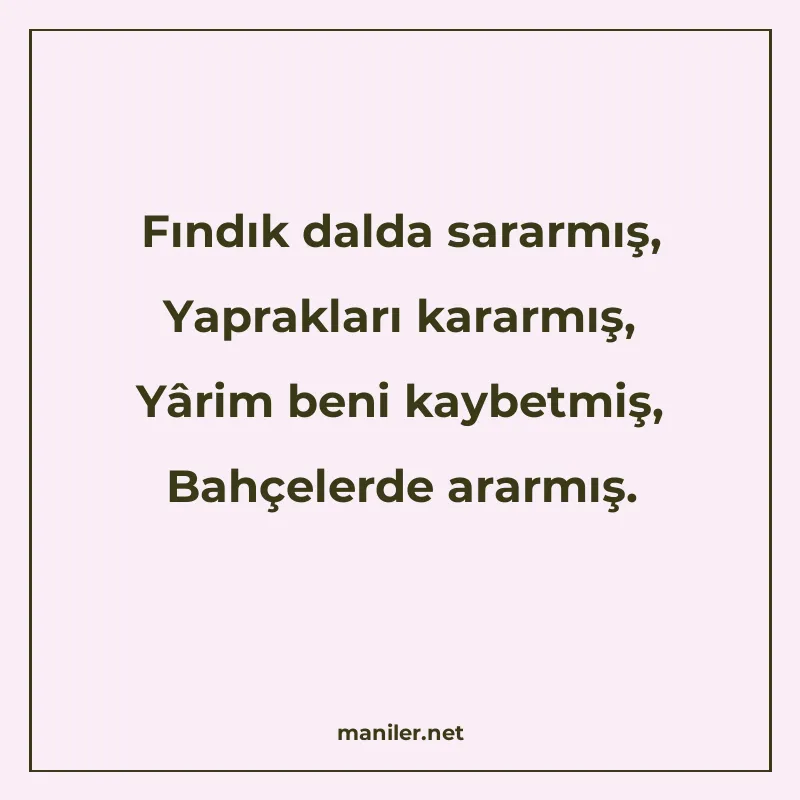 Fındık dalda sararmış, Yaprakları kararmış, Yârim beni kaybe manisi görseli
