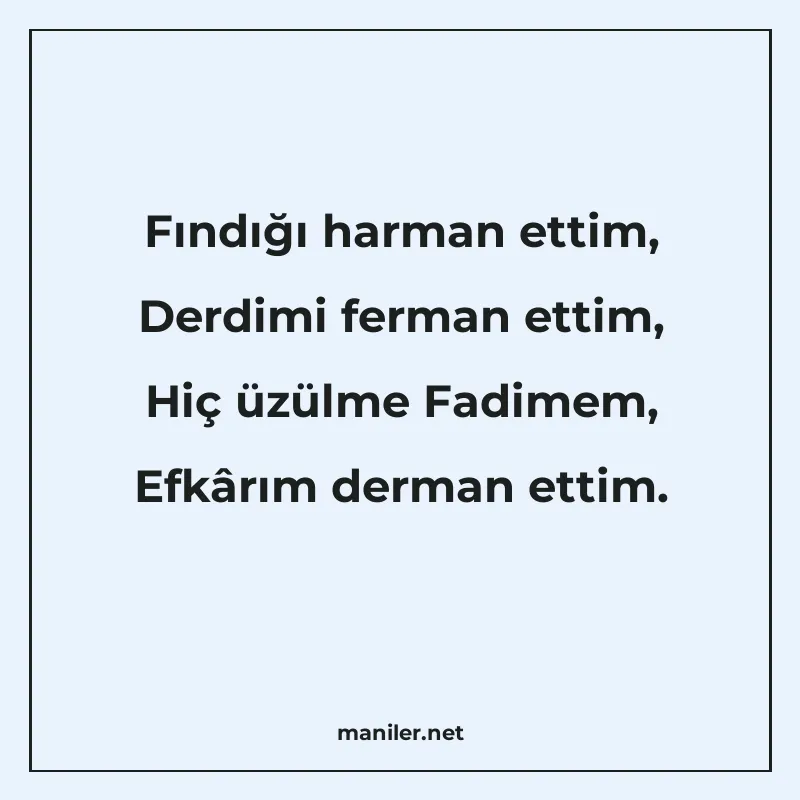 Fındığı harman ettim, Derdimi ferman ettim, Hiç üzülme Fadim manisi görseli