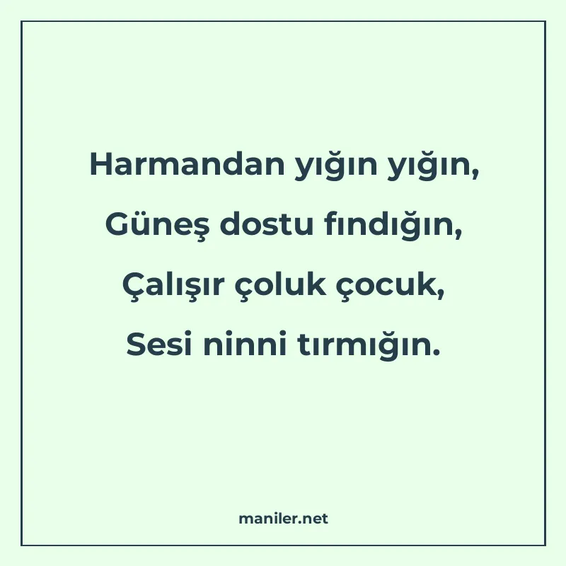 Harmandan yığın yığın, Güneş dostu fındığın, Çalışır çoluk ç manisi görseli