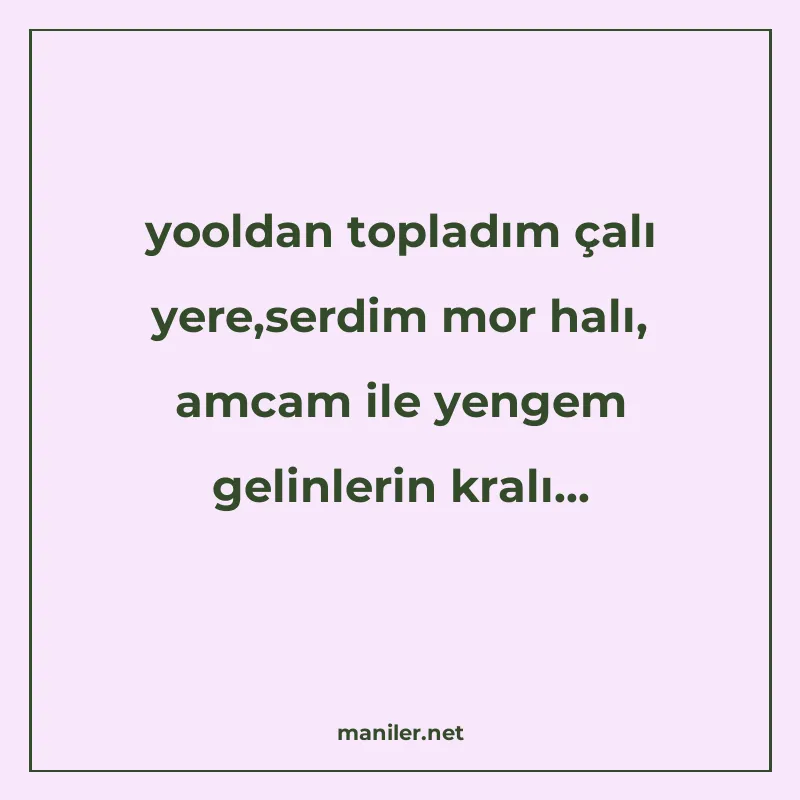 yooldan topladım çalı yere,serdim mor halı, amcam ile yengem manisi görseli