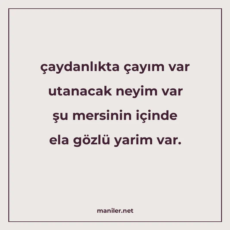 çaydanlıkta çayım var utanacak neyim var şu mersinin içinde manisi görseli