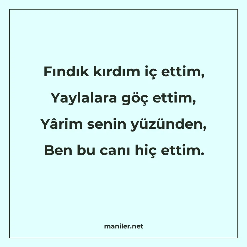 Fındık kırdım iç ettim, Yaylalara göç ettim, Yârim senin yüz manisi görseli