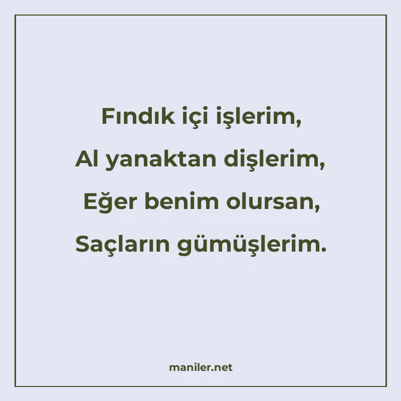 Fındık içi işlerim, Al yanaktan dişlerim, Eğer benim olursan manisi görseli