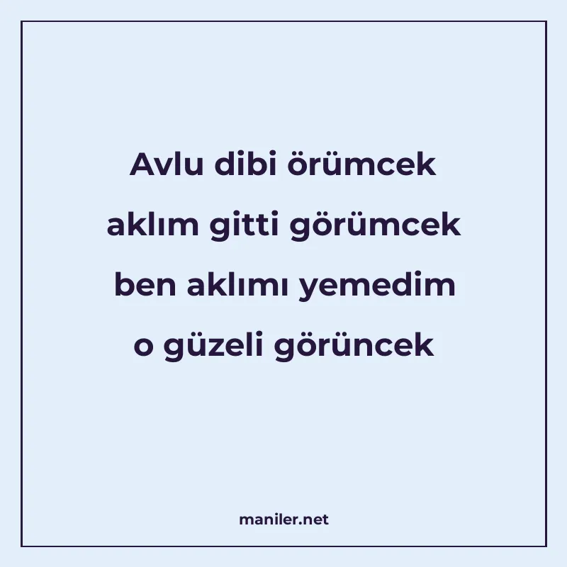 Avlu dibi örümcek aklım gitti görümcek ben aklımı yemedim o manisi görseli