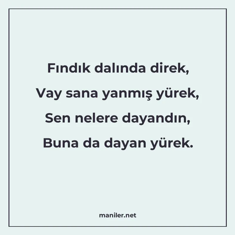 Fındık dalında direk, Vay sana yanmış yürek, Sen nelere daya manisi görseli