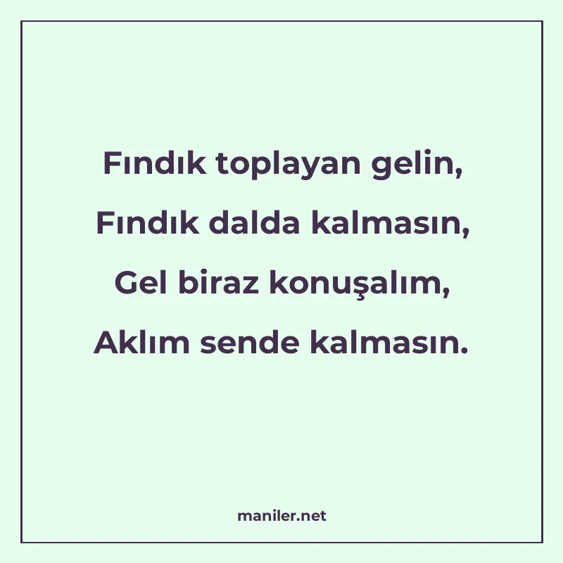 Fındık toplayan gelin, Fındık dalda kalmasın, Gel biraz konu manisi görseli