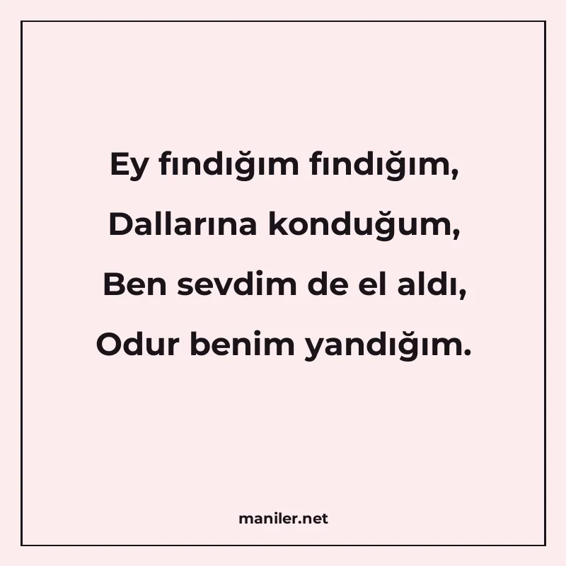 Ey fındığım fındığım, Dallarına konduğum, Ben sevdim de el a manisi görseli