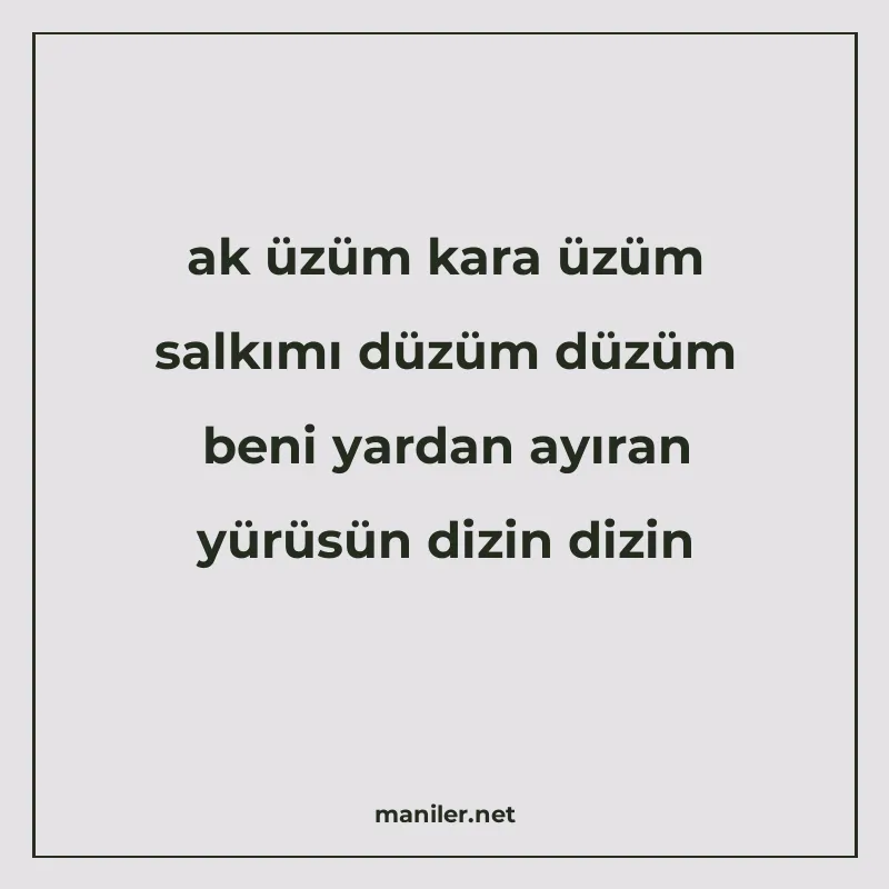 ak üzüm kara üzüm salkımı düzüm düzüm beni yardan ayıran yür manisi görseli