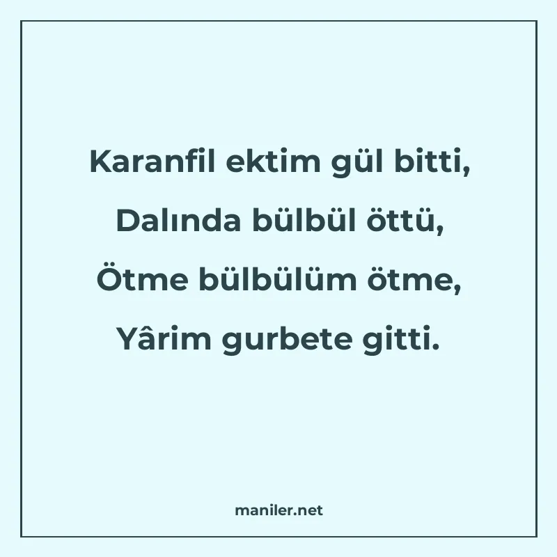 Karanfil ektim gül bitti, Dalında bülbül öttü, Ötme bülbülüm manisi görseli