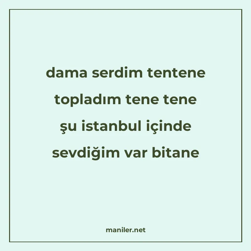 dama serdim tentene topladım tene tene şu istanbul içinde se manisi görseli