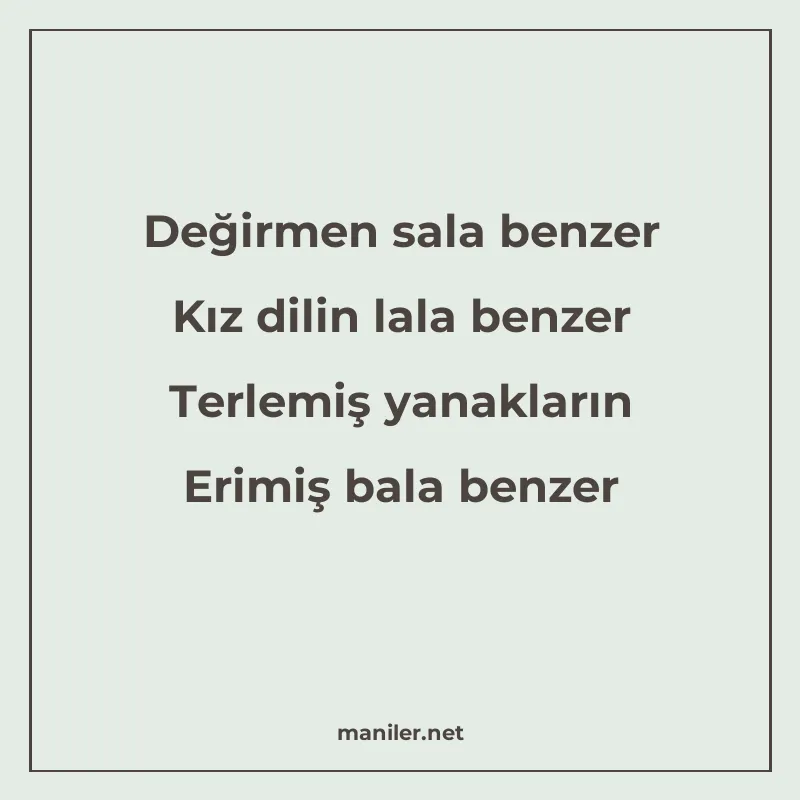 Değirmen sala benzer Kız dilin lala benzer Terlemiş yanaklar manisi görseli