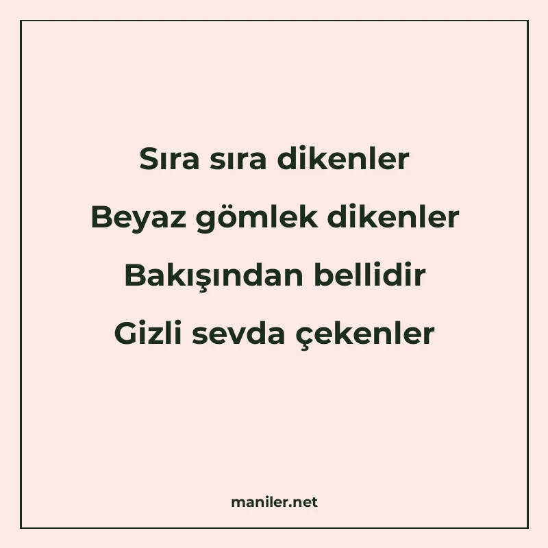 Sıra sıra dikenler Beyaz gömlek dikenler Bakışından bellidir manisi görseli