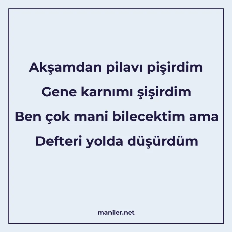 Akşamdan pilavı pişirdim Gene karnımı şişirdim Ben çok mani manisi görseli