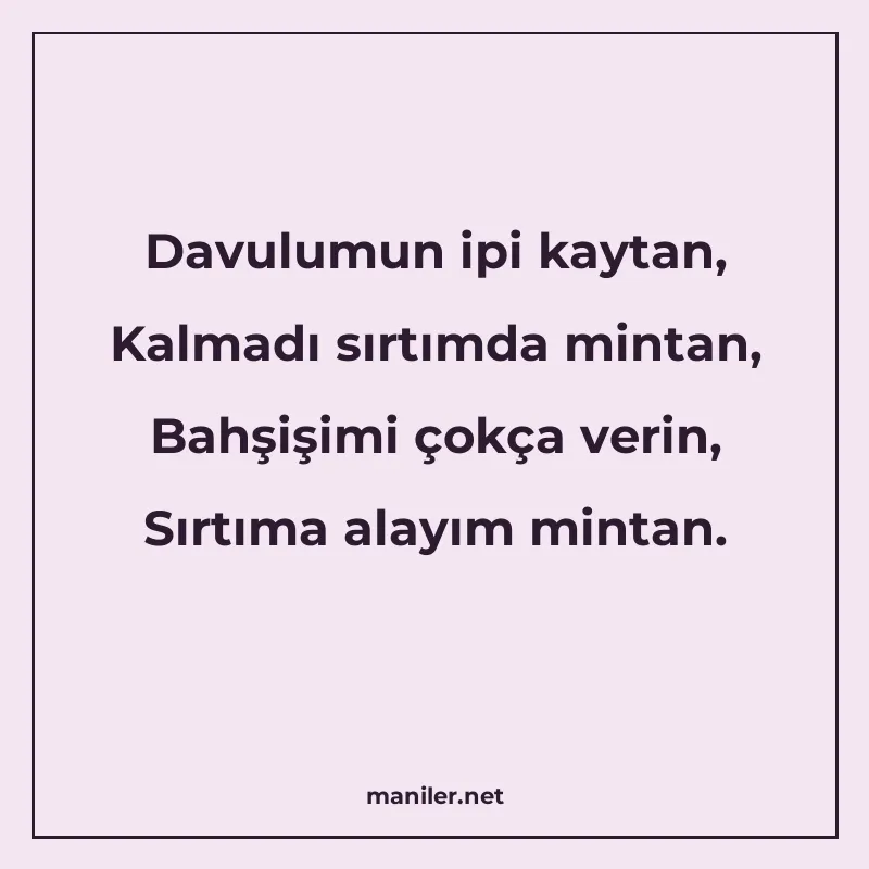 Davulumun ipi kaytan, Kalmadı sırtımda mintan, Bahşişimi çok manisi görseli