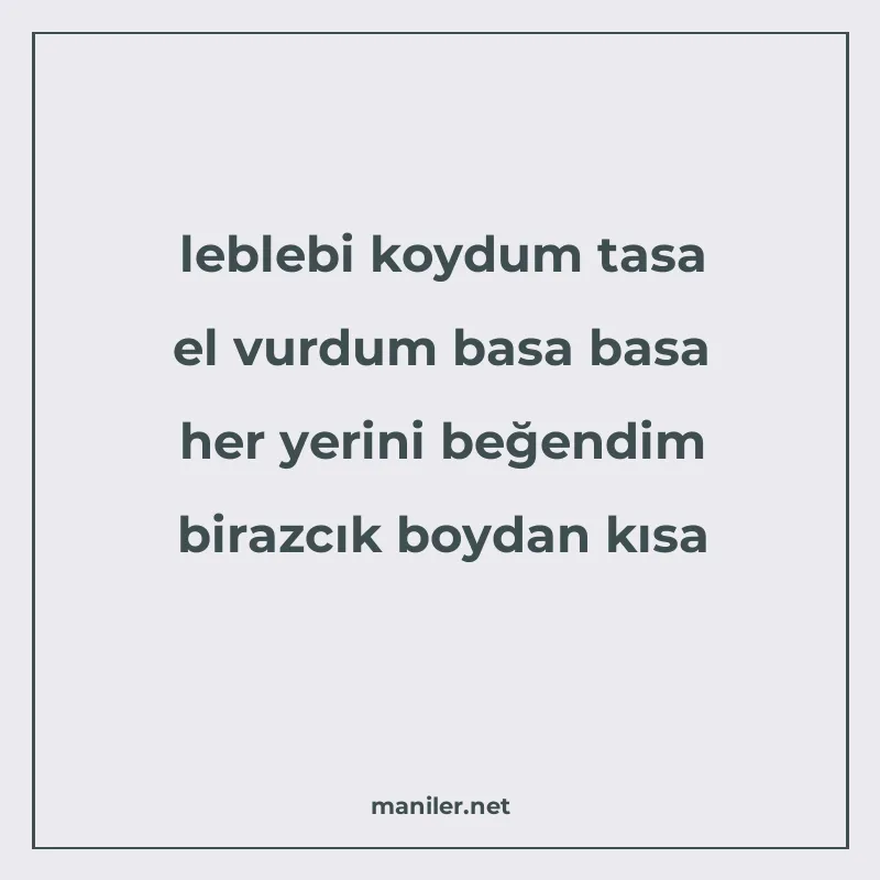 leblebi koydum tasa el vurdum basa basa her yerini beğendim manisi görseli