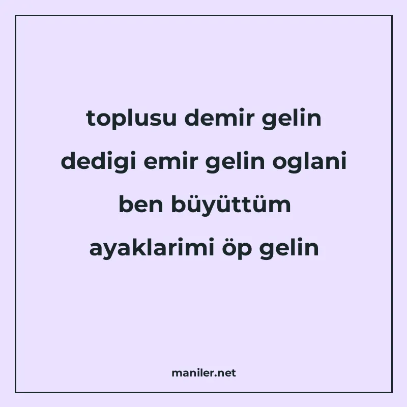 toplusu demir gelin dedigi emir gelin oglani ben büyüttüm ay manisi görseli