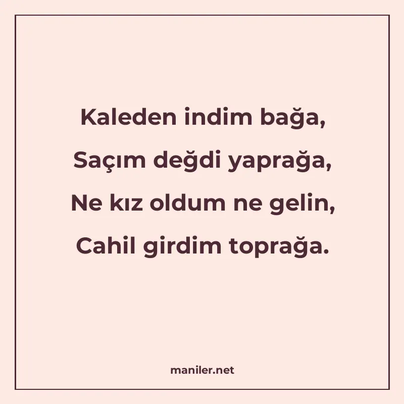 Kaleden indim bağa, Saçım değdi yaprağa, Ne kız oldum ne gel manisi görseli