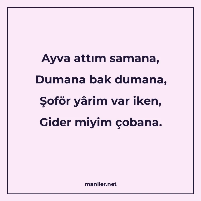 Ayva attım samana, Dumana bak dumana, Şoför yârim var iken manisi görseli