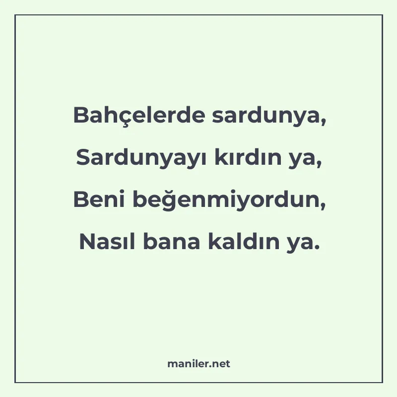 Bahçelerde sardunya, Sardunyayı kırdın ya, Beni beğenmiyordu manisi görseli