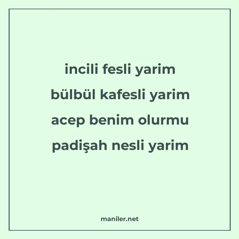 incili fesli yarim bülbül kafesli yarim acep benim olurmu pa manisi görseli